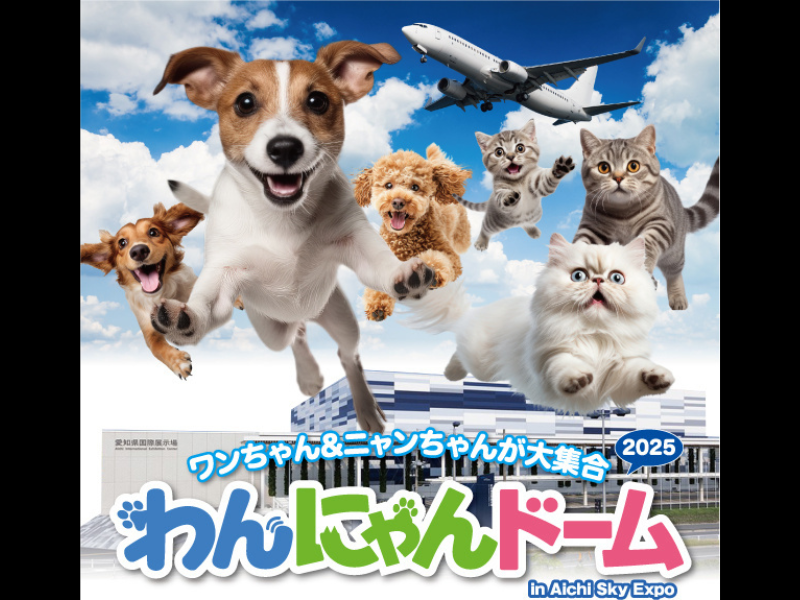 Amazon | “FA